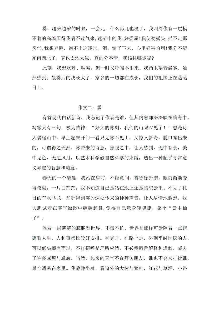 描写雾的作文1000字（精选3篇）.docx_第2页