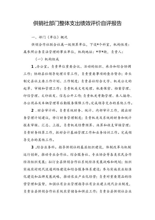 供销社部门整体支出绩效评价自评报告.docx