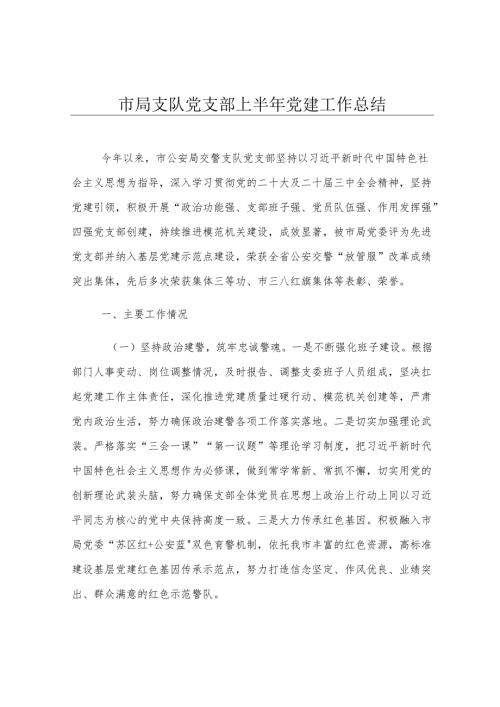 市局支队党支部上半年党建工作总结.docx