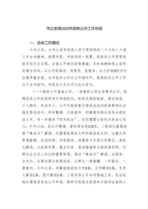 市公安局2024年政务公开工作总结.docx