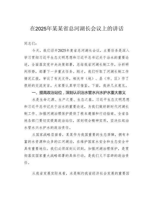 在2025年某某省总河湖长会议上的讲话.docx