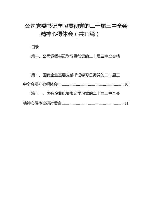 （11篇）公司党委书记学习贯彻党的二十三中全会精神心得体会范文.docx