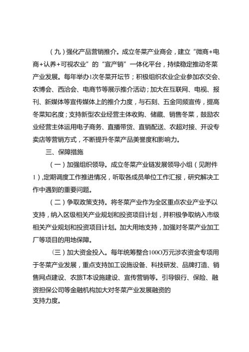 十五五冬菜产业链实施行动计划.docx