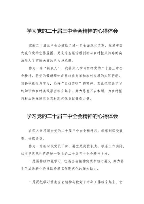 学习贯彻党的二十三中全会精神的心得体会简短交流发言稿模板32篇.docx