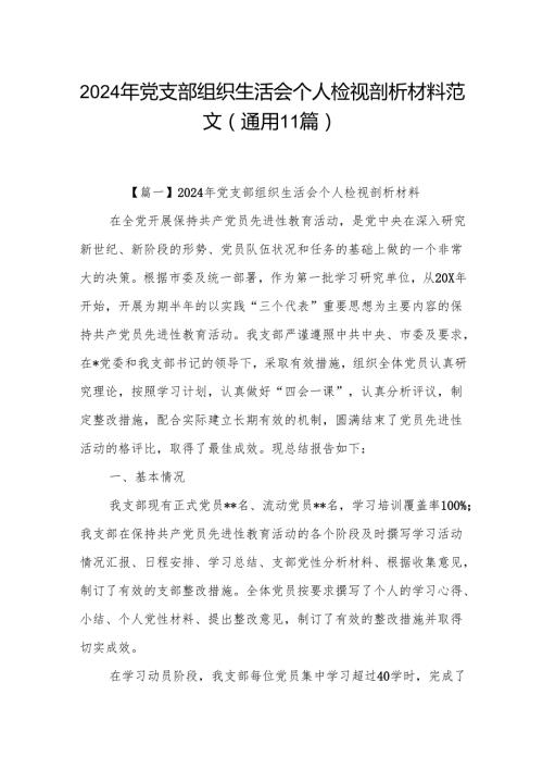 2024年党支部组织生活会个人检视剖析材料范文(通用11篇).docx