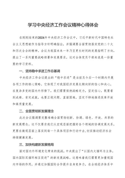 十二篇统计所学习贯彻2024年中央经济工作会议精神心得体会.docx