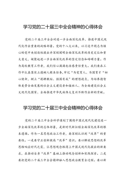 学习2024年二十三中全会精神的心得体会四十四篇.docx