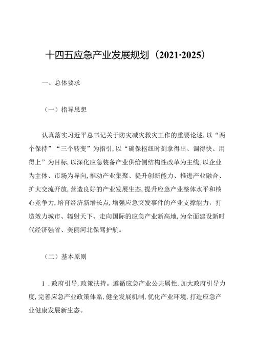 十四五应急产业发展规划(20212025).docx