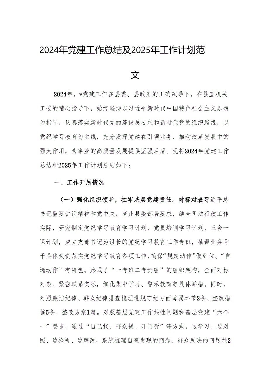 2024年党建工作总结及2025年工作计划范文.docx_第1页