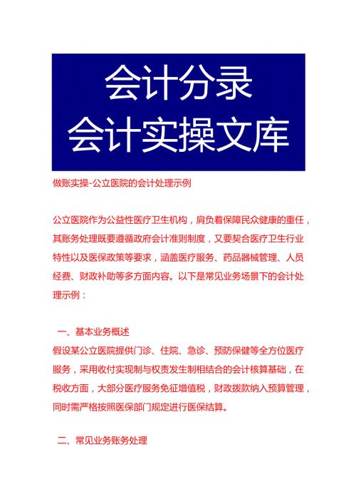 做账实操公立医院的会计处理示例.docx