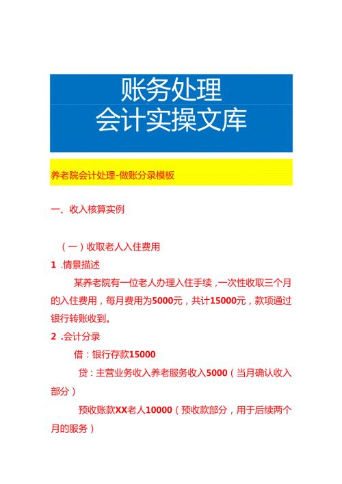 养老院会计处理做账分录模板.docx