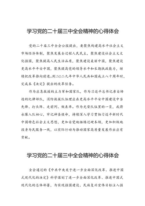 党的二十三中全会精神学习心得体会精品汇编四十篇.docx
