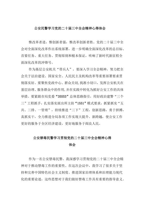 （11篇）公安民警学习党的二十三中全会精神心得体会(最新精选).docx