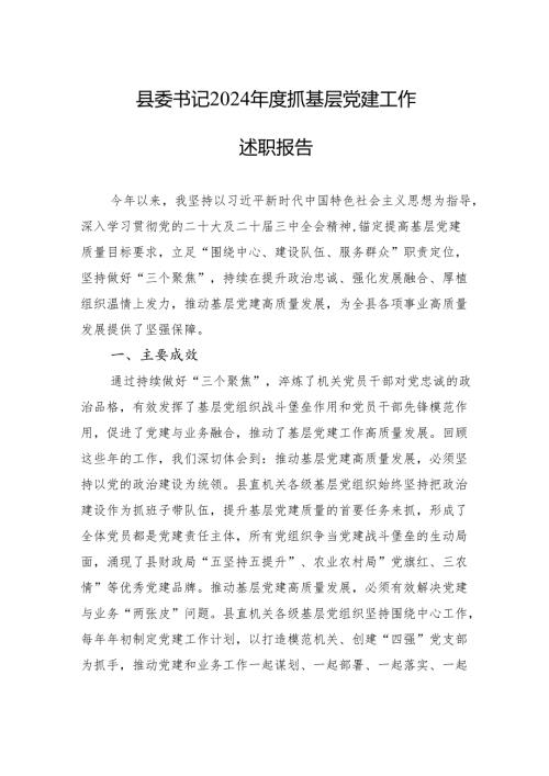 2024年抓基层党建工作述职报告(5篇).docx
