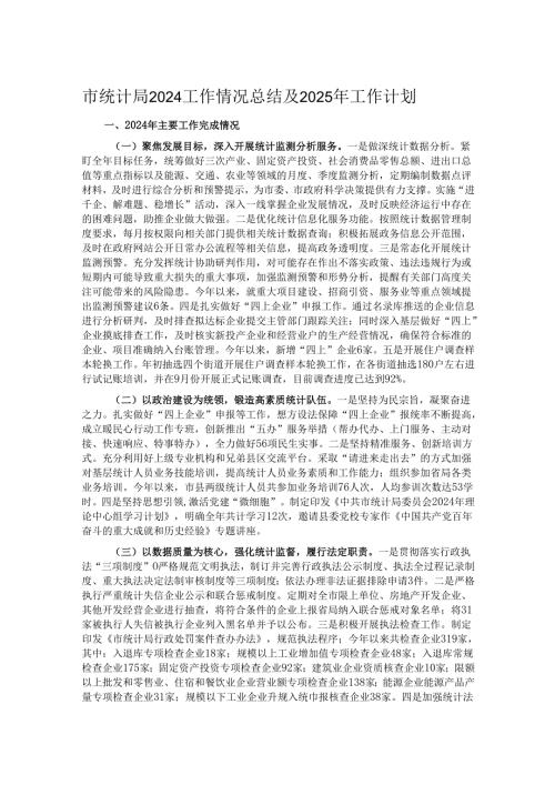 市统计局2024工作情况总结及2025年工作计划(1).docx