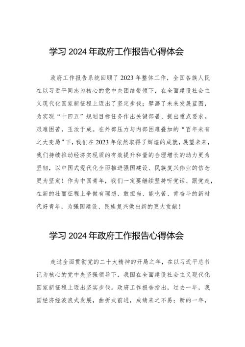 2024年全国两会政府工作报告心得体会二十篇.docx