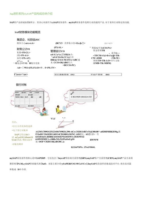 SAP产品构成总体介绍(1).docx