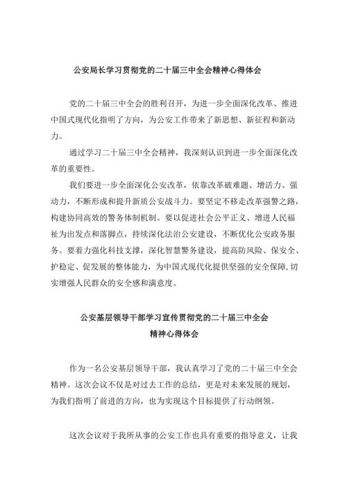 （11篇）公安局长学习贯彻党的二十三中全会精神心得体会范文.docx