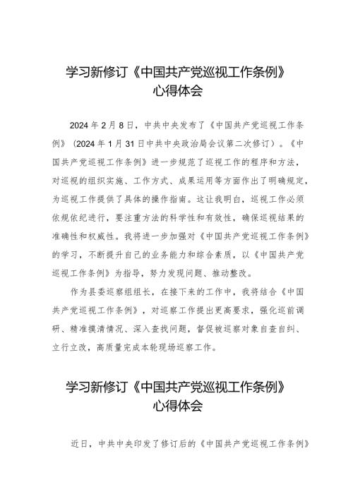 巡察干部学习2024新修订中国共产党巡视工作条例心得体会(五篇).docx