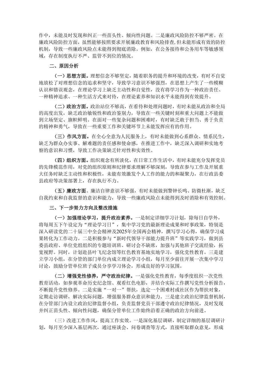 县政府班子成员2024年民主生活会个人对照检查发言材料.docx_第2页