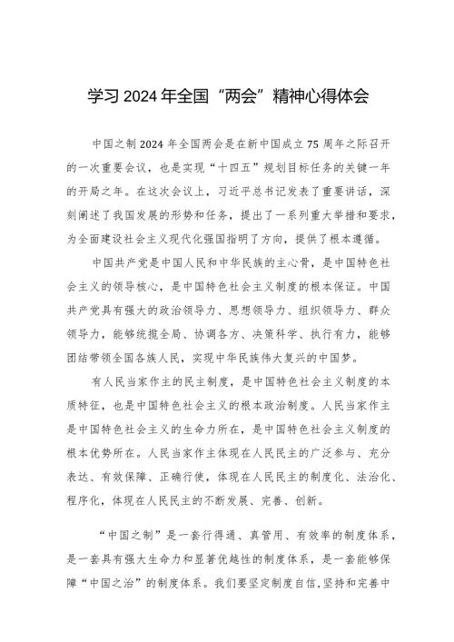 2024年全国“两会”精神学习心得体会33篇.docx