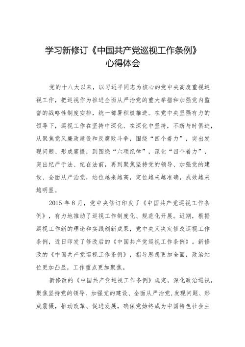 最新版范文学习新修订《中国共产党巡视工作条例》心得体会(五篇).docx