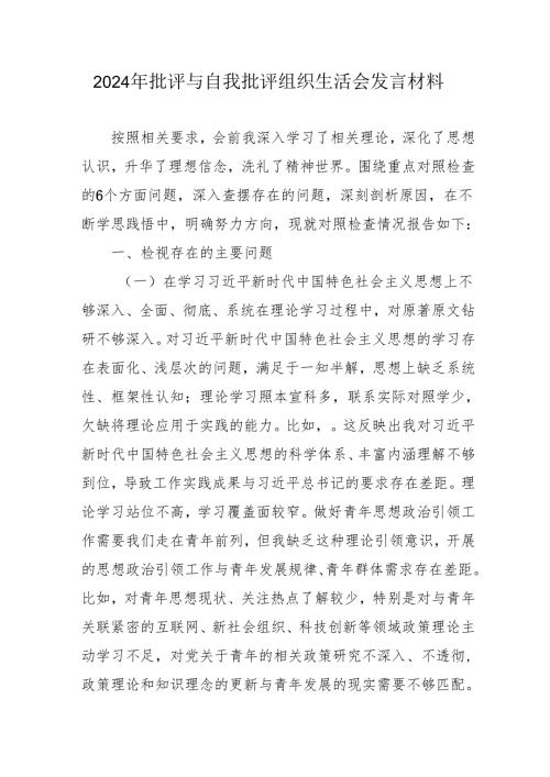 2024年批评与自我批评组织生活会发言材料23.docx
