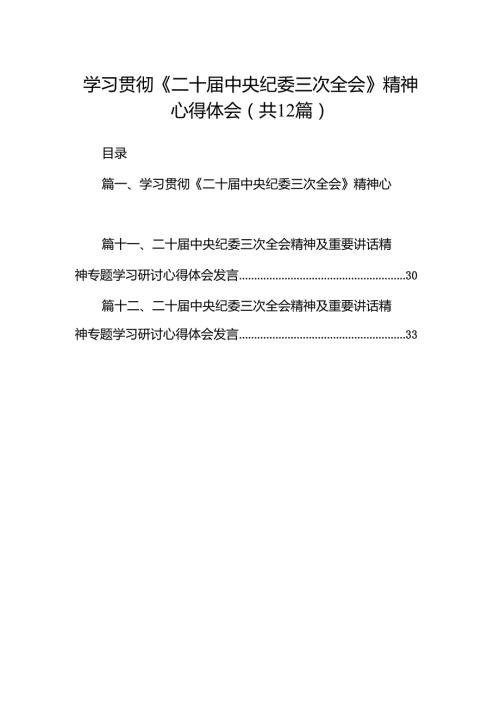 （12篇）学习贯彻《二十中央纪委三次全会》精神心得体会（精选）.docx