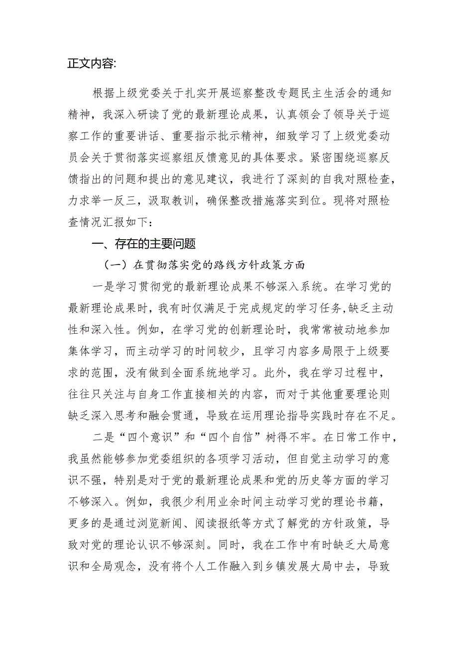 在贯彻落实党的路线方针政策、全面从严治党战略、新时代党的组织路线、上级巡察审计等监督发现问题整改四个方面2024年巡视整改专题民主生.docx_第2页