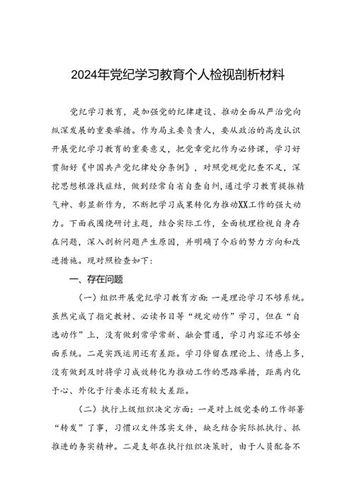 (12篇)党员干部重点围绕检视2024年党纪学习教育专题民主生活会个人对照检视检查发言材料.docx