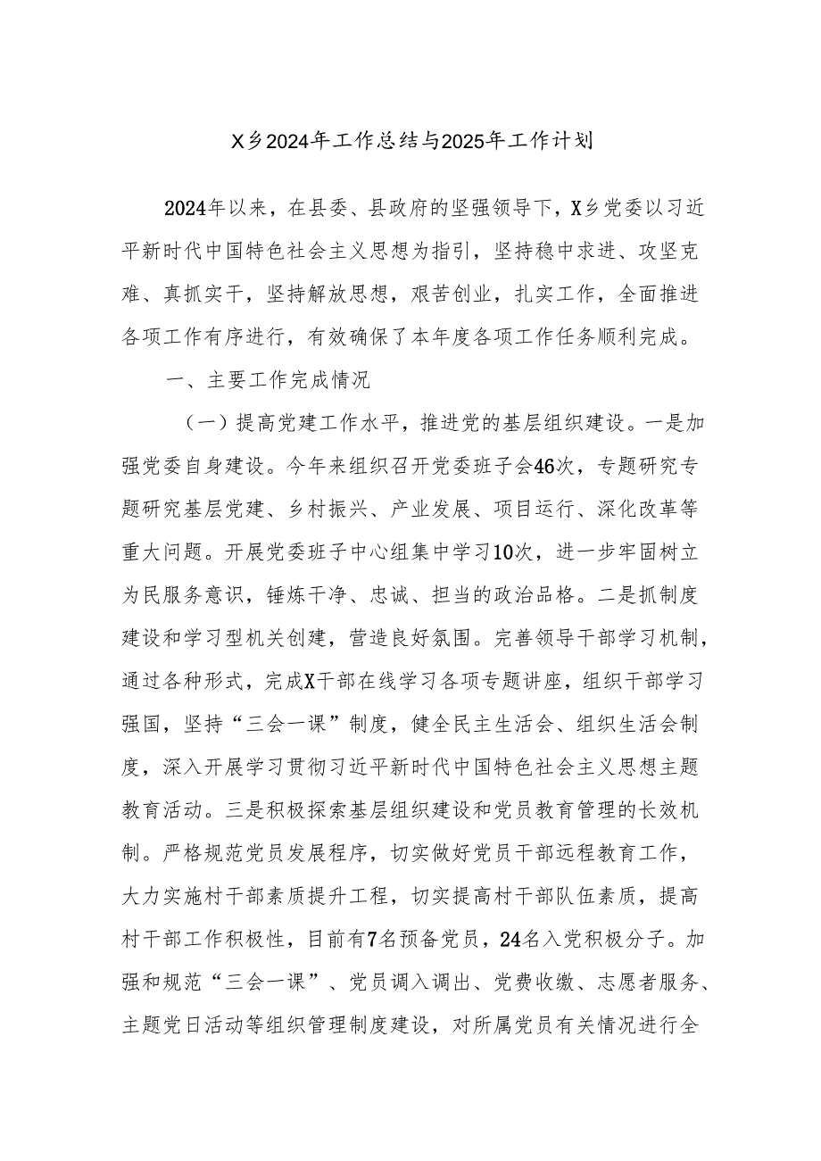 X乡2024年工作总结与2025年工作计划.docx_第1页