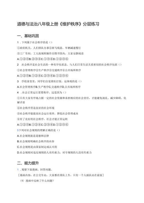 道德与法治八年级上册《维护秩序》分层练习.docx