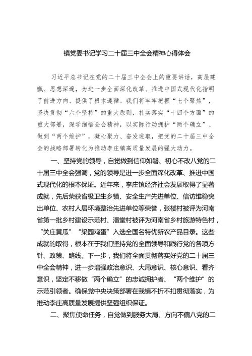 （9篇）镇党委书记学习二十三中全会精神心得体会（详细版）.docx