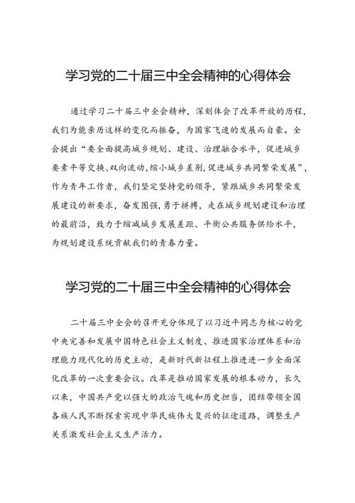关于二十三中全会精神的心得体会简短发言四十四篇.docx