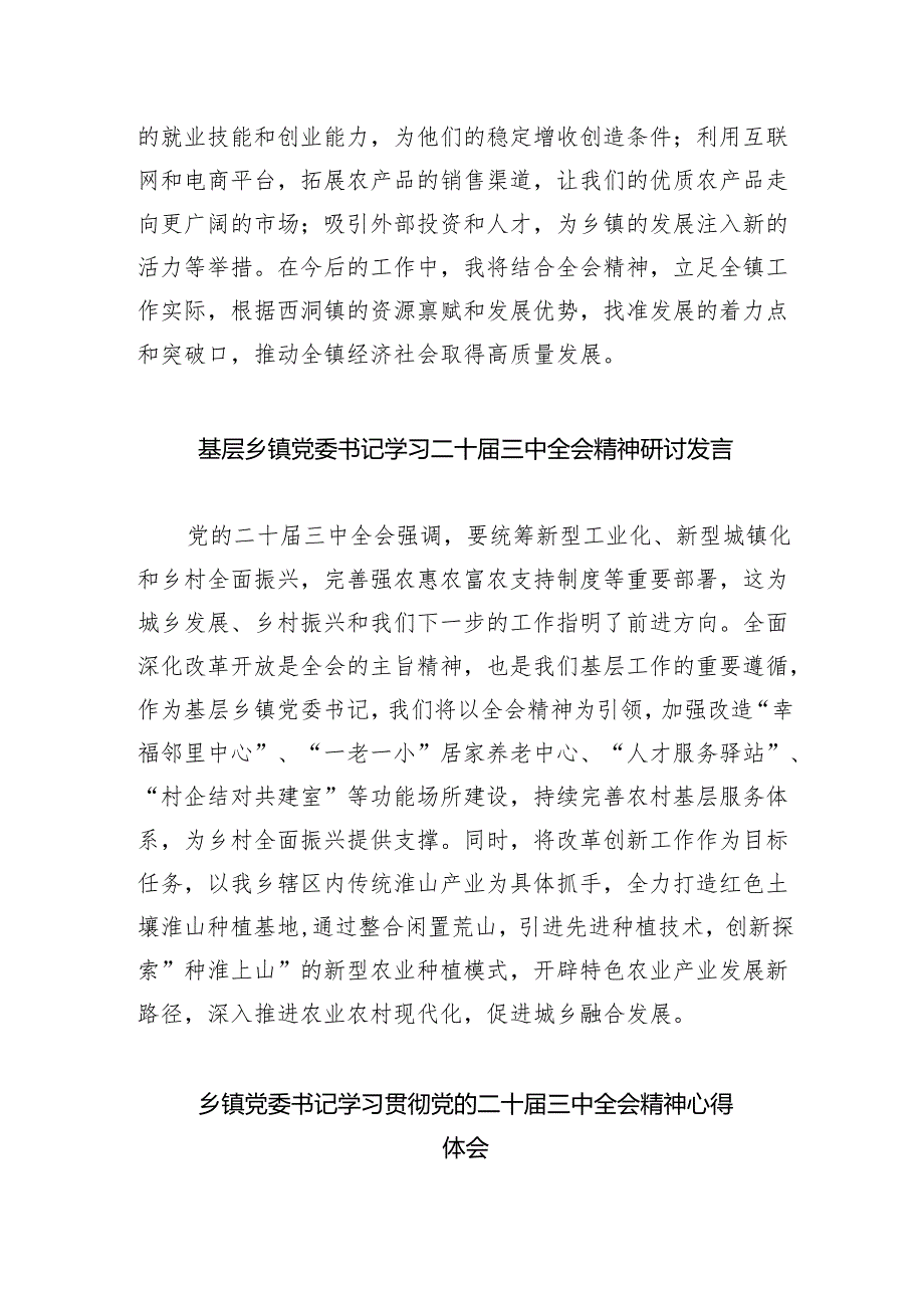 （9篇）乡镇党委书记学习二十三中全会精神研讨发言（精选）.docx_第3页