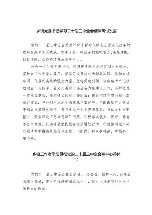 （9篇）乡镇党委书记学习二十三中全会精神研讨发言（精选）.docx