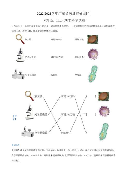 精品解析：2022-2023学年广东省深圳市福田区教科版六年级上册期末考试科学试卷（解析版）.docx