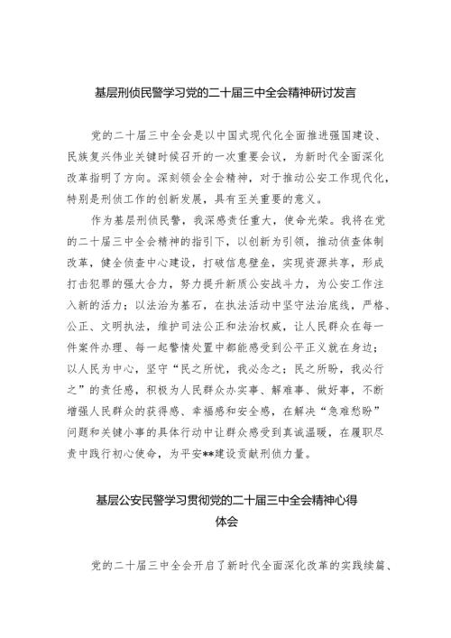 （9篇）基层刑侦民警学习党的二十三中全会精神研讨发言（详细版）.docx