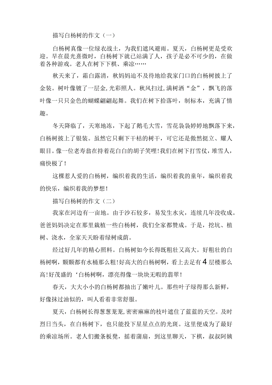 描写白杨树的作文「精选4篇」.docx_第1页