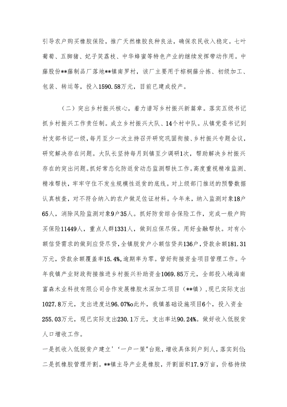 乡镇2024年工作总结及2025年工作计划.docx_第2页