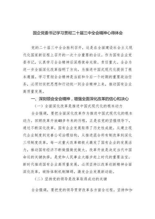 （9篇）国企党委书记学习贯彻二十三中全会精神心得体会（精选）.docx