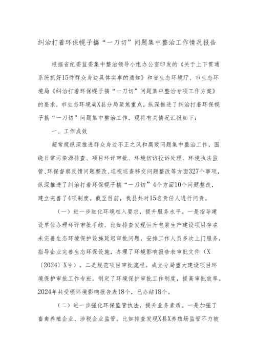 纠治打着环保幌子搞“一刀切”问题集中整治工作情况报告副本.docx