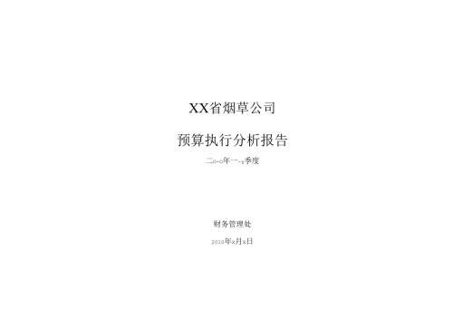 商业公司预算执行分析报告-模板.docx