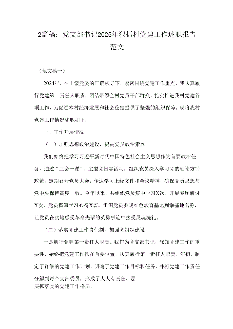 2篇稿：党支部书记2025年狠抓村党建工作述职报告范文.docx_第1页
