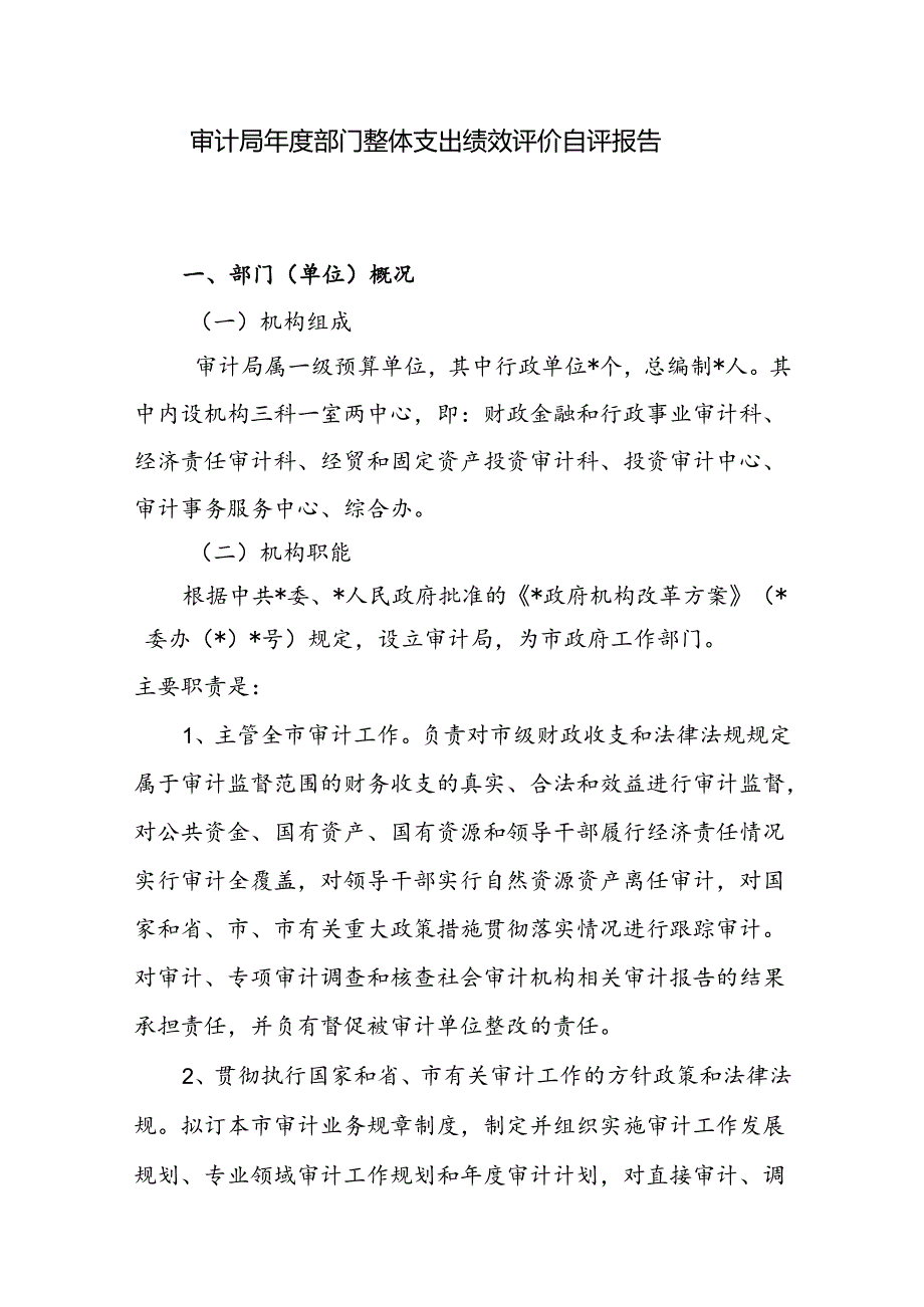 审计局部门整体支出绩效评价自评报告.docx_第1页