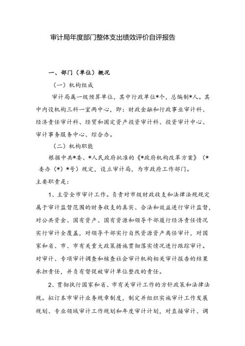 审计局部门整体支出绩效评价自评报告.docx