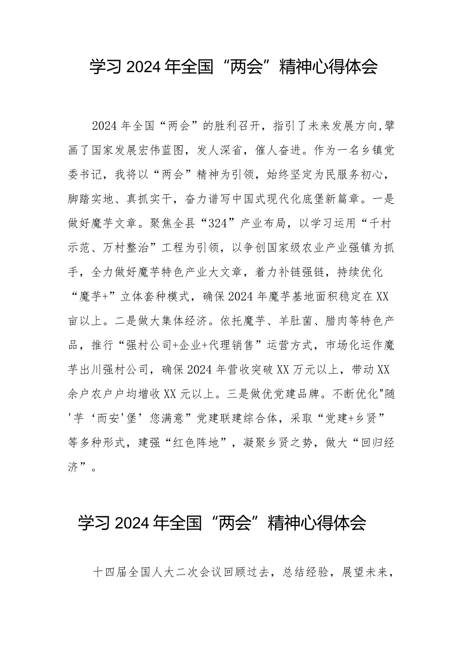 (36篇)2024年两会精神的心得体会.docx_第3页