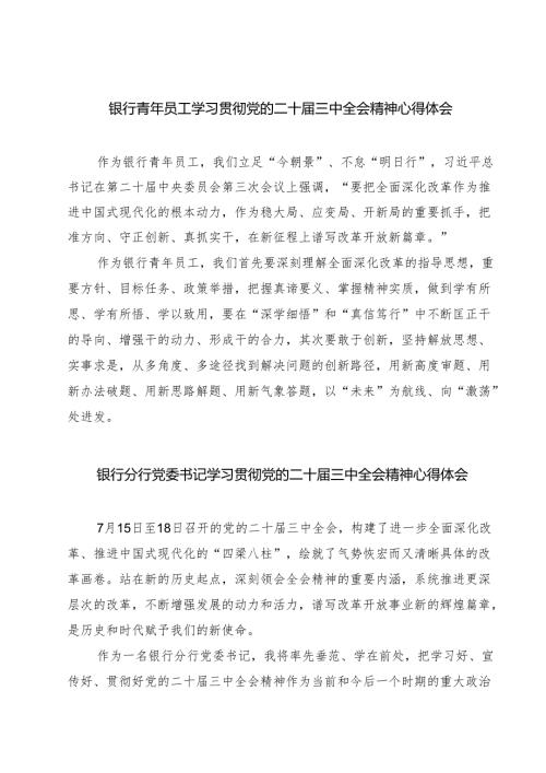 (四篇)银行青年员工学习贯彻党的二十三中全会精神心得体会（精选）.docx