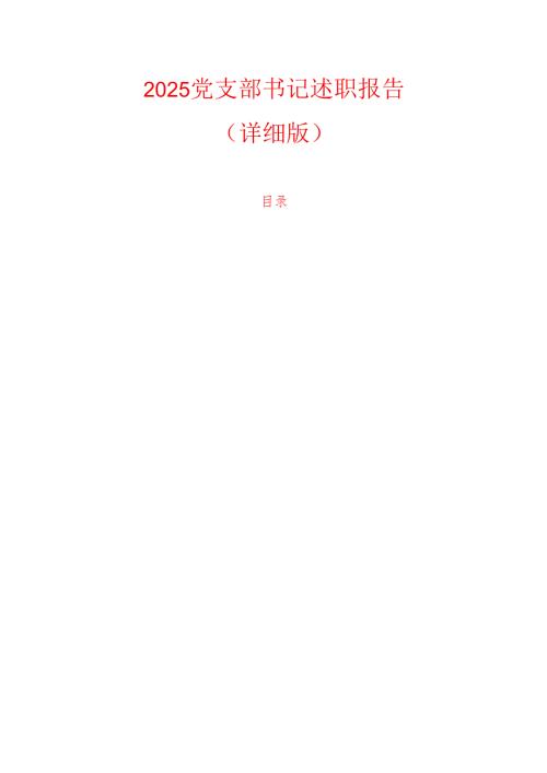2025 党支部书记述职报告（详细版）(2).docx