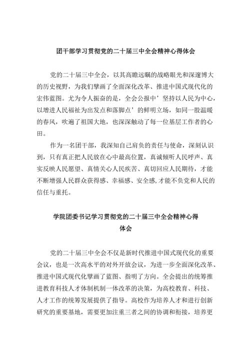 （11篇）团干部学习贯彻党的二十三中全会精神心得体会汇编.docx